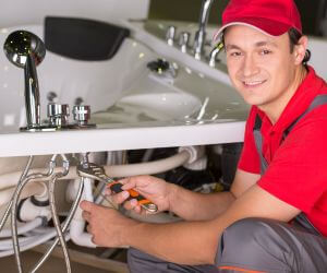 About Emergency plumbing pros Cornland, IL
